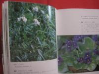 沖縄植物野外活用図鑑          第２巻         栽培植物             【沖縄・琉球・自然・生物・野草】