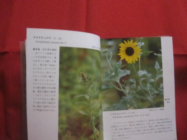 沖縄植物野外活用図鑑 第9巻 あかね科 ～ らん科 【沖縄・琉球