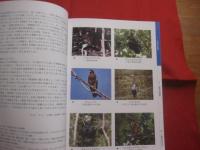 海のクロスロード　   八重山　（　やいま　） 　　 　 ２０１０年度　 　沖縄県立博物館　・　美術館 博物館特別展 　　　　　　 　   【沖縄・琉球・歴史・文化・自然・生物】