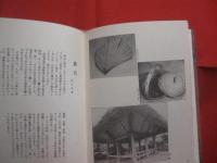 沖縄の民俗文化    　　　  　　　【沖縄・琉球・歴史・文化】