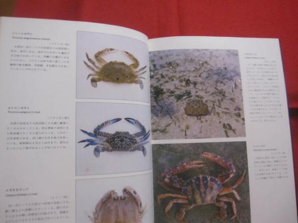 沖縄の貝 カニ エビ 沖縄 琉球 自然 生物 図鑑 著者 平田 義浩 仲宗根 幸男 諸喜田 茂充 文華堂書店 古本 中古本 古書籍の通販は 日本の古本屋 日本の古本屋