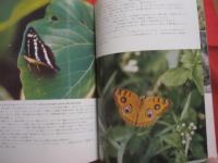 沖縄の野鳥　・　トンボ　・　蝶     　　            【沖縄・琉球・自然・生物・図鑑】