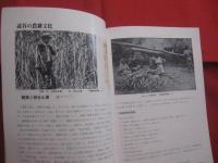 読谷の文化 　　   第二集 　　 植物編   　　 　　    【沖縄・琉球・歴史・文化】
