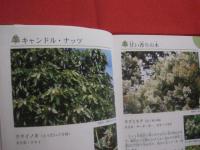 沖縄の野山を楽しむ　　　　植物の本　　　　おきなわフィールドブック　　１  　　　　　屋比久壮実　著　　　　アクアコーラル企画　発行　　　　　　　　　　 【沖縄・琉球・自然・野草・植物】