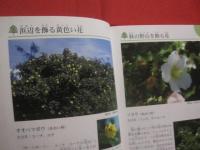 沖縄の野山を楽しむ　　　　植物の本　　　　おきなわフィールドブック　　１  　　　　　屋比久壮実　著　　　　アクアコーラル企画　発行　　　　　　　　　　 【沖縄・琉球・自然・野草・植物】