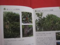 沖縄の野山を楽しむ　　　　植物の本　　　　おきなわフィールドブック　　１  　　　　　屋比久壮実　著　　　　アクアコーラル企画　発行　　　　　　　　　　 【沖縄・琉球・自然・野草・植物】