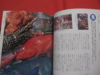 ☆★沖縄チャンプルー事典　　　　　　　　 【沖縄・琉球・歴史・文化】