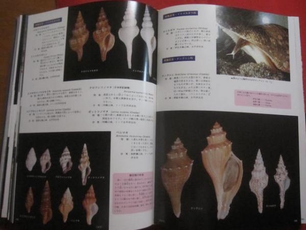 Amazon | 沖縄海中動物生態図鑑改訂版/白井祥平署名/日本国内