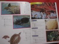 ☆原色沖縄海中動物生態図鑑     【 改訂版 】     世界最高の海中動物図鑑      定価２５，０００円           【沖縄・琉球・自然・動物・海洋生物】