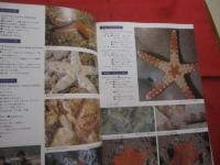 ☆原色沖縄海中動物生態図鑑     【 改訂版 】     世界最高の海中動物図鑑      定価２５，０００円           【沖縄・琉球・自然・動物・海洋生物】