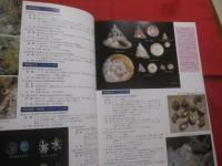 ☆原色沖縄海中動物生態図鑑     【 改訂版 】     世界最高の海中動物図鑑      定価２５，０００円           【沖縄・琉球・自然・動物・海洋生物】