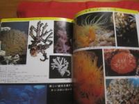 ☆原色沖縄海中動物生態図鑑     【 改訂版 】     世界最高の海中動物図鑑      定価２５，０００円           【沖縄・琉球・自然・動物・海洋生物】