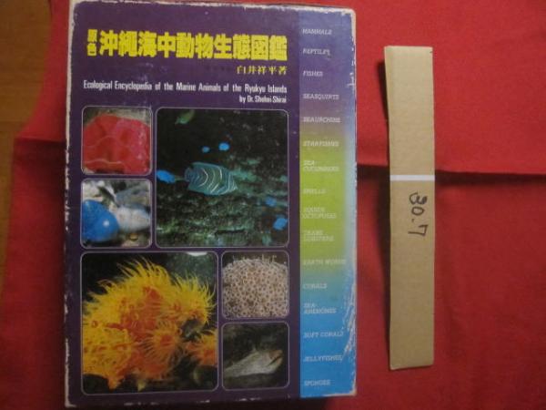 原色沖縄海中動物生態図鑑 世界最高の海中動物図鑑 定価23，000円