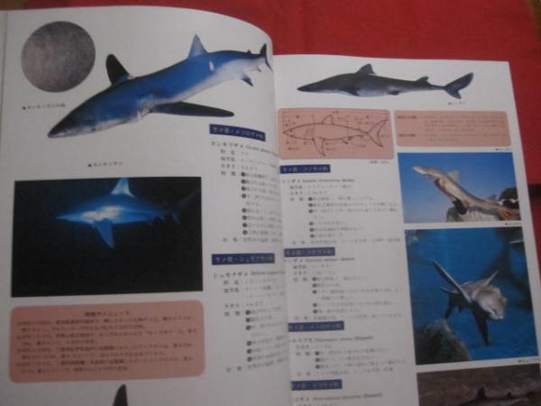 原色沖縄海中動物生態図鑑 世界最高の海中動物図鑑 定価23，000円