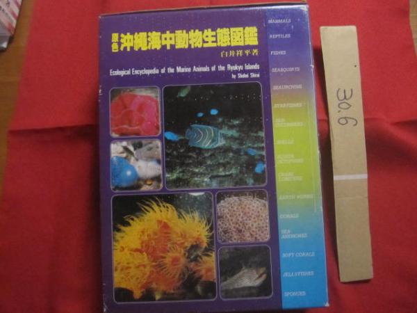 原色沖縄海中動物生態図鑑 世界最高の海中動物図鑑 定価23,000円