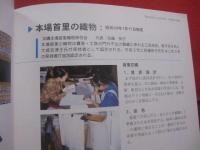 ☆沖縄県無形文化財保存伝承事業    企画展  工芸王国 ― きらめく手わざの世界を沖縄から   平成１１年度文化庁伝統文化伝承総合支援事業      【沖縄・琉球・歴史・文化・図録】
