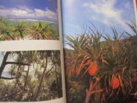 奄美  　　太古のささやき  　　  濱田康作 著  　　　     【写真集・自然・風景・生物・植物・動物】