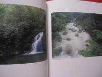 奄美  　　太古のささやき  　　  濱田康作 著  　　　     【写真集・自然・風景・生物・植物・動物】