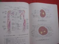 人体解剖学 改訂第41版 藤田恒太郎 著 定価9，223円＋税 【医学