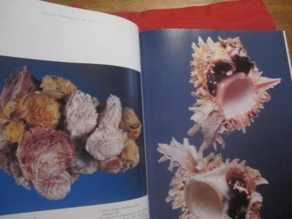 THE SHELL 貝の図鑑 THE SHELL 貝の図鑑 図鑑】美しい貝図鑑＆採集ガイド （大人の