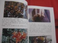 改訂 　　緑が丘学園の植物図鑑　　　 ―　沖縄少年院　―  　　　　　 【沖縄・琉球・自然・花】