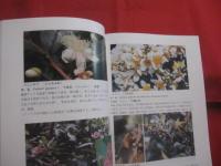 改訂 　　緑が丘学園の植物図鑑　　　 ―　沖縄少年院　―  　　　　　 【沖縄・琉球・自然・花】