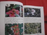 改訂 　　緑が丘学園の植物図鑑　　　 ―　沖縄少年院　―  　　　　　 【沖縄・琉球・自然・花】
