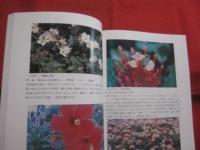 改訂 　　緑が丘学園の植物図鑑　　　 ―　沖縄少年院　―  　　　　　 【沖縄・琉球・自然・花】