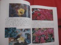 改訂 　　緑が丘学園の植物図鑑　　　 ―　沖縄少年院　―  　　　　　 【沖縄・琉球・自然・花】