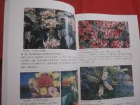 改訂 　　緑が丘学園の植物図鑑　　　 ―　沖縄少年院　―  　　　　　 【沖縄・琉球・自然・花】