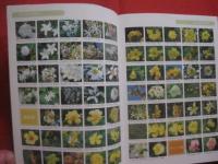 ☆花ごよみ　　　亜熱帯沖縄の花　　　Ｓｕｂ－ｔｒｏｐｉｃａｌ　Ｆｌｏｗｅｒｓ　ｉｎ　Ｏｋｉｎａｗａ　　　　　　　 【沖縄・琉球・自然・植物・園芸】