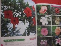 ☆花ごよみ　　　亜熱帯沖縄の花　　　Ｓｕｂ－ｔｒｏｐｉｃａｌ　Ｆｌｏｗｅｒｓ　ｉｎ　Ｏｋｉｎａｗａ　　　　　　　 【沖縄・琉球・自然・植物・園芸】