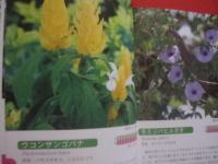 ☆花ごよみ　　　亜熱帯沖縄の花　　　Ｓｕｂ－ｔｒｏｐｉｃａｌ　Ｆｌｏｗｅｒｓ　ｉｎ　Ｏｋｉｎａｗａ　　　　　　　 【沖縄・琉球・自然・植物・園芸】
