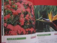 ☆花ごよみ　　　亜熱帯沖縄の花　　　Ｓｕｂ－ｔｒｏｐｉｃａｌ　Ｆｌｏｗｅｒｓ　ｉｎ　Ｏｋｉｎａｗａ　　　　　　　 【沖縄・琉球・自然・植物・園芸】