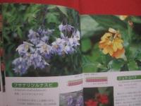 ☆花ごよみ　　　亜熱帯沖縄の花　　　Ｓｕｂ－ｔｒｏｐｉｃａｌ　Ｆｌｏｗｅｒｓ　ｉｎ　Ｏｋｉｎａｗａ　　　　　　　 【沖縄・琉球・自然・植物・園芸】