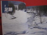 北海道 　野生動物の痕跡を読む　　  フィールド　 ・　 ウオッチングガイド 　　    エコ　 ・ 　ネットワーク 編   　　　　　　   【自然・生物】
