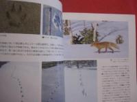 北海道 　野生動物の痕跡を読む　　  フィールド　 ・　 ウオッチングガイド 　　    エコ　 ・ 　ネットワーク 編   　　　　　　   【自然・生物】