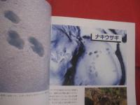 北海道 　野生動物の痕跡を読む　　  フィールド　 ・　 ウオッチングガイド 　　    エコ　 ・ 　ネットワーク 編   　　　　　　   【自然・生物】