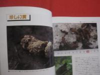 北海道 　野生動物の痕跡を読む　　  フィールド　 ・　 ウオッチングガイド 　　    エコ　 ・ 　ネットワーク 編   　　　　　　   【自然・生物】