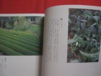 空色通信 　　   ＷＥＡＴＥＲ 　 ＲＥＰＯＲＴ    　　写真　・　文 　 高橋　健司    　　　　    【写真集・自然・風景】