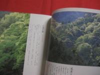 空色通信 　　   ＷＥＡＴＥＲ 　 ＲＥＰＯＲＴ    　　写真　・　文 　 高橋　健司    　　　　    【写真集・自然・風景】