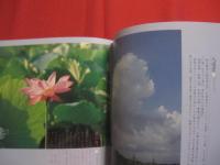 空色通信 　　   ＷＥＡＴＥＲ 　 ＲＥＰＯＲＴ    　　写真　・　文 　 高橋　健司    　　　　    【写真集・自然・風景】