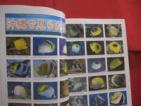 ☆ダイビングポイントマップ 　　   ― 　宮古編　 ―    　　　　    【沖縄・琉球・自然・海洋レジャー・アウトドア】
