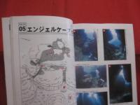 ダイビングポイントマップ 　　  　― 　宮古編 　― 　　　    【沖縄・琉球・自然・海洋レジャー・アウトドア】