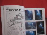 ダイビングポイントマップ 　 沖縄   　   ―  宮古編  ―  　　      【沖縄・琉球・自然・海洋レジャー・アウトドア】