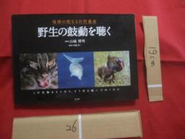 琉球の聖なる自然遺産  　　 野生の鼓動を聴く   　　この宝物をどう守り、どう引き継いでゆくのか    　　山城 博明　  著    　　      【沖縄・琉球・歴史・文化・自然・生物・動物・写真集】