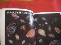 沖縄の自然        貝の世界     　  　カラー百科シリーズ　　１０      　       【沖縄・琉球・自然・海洋生物・軟体動物・図鑑】