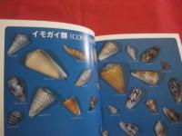 沖縄の自然        貝の世界     　  　カラー百科シリーズ　　１０      　       【沖縄・琉球・自然・海洋生物・軟体動物・図鑑】