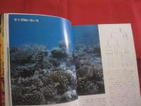 カラー百科シリーズ   ⑥   　  沖縄の自然  　   〔 サンゴ礁の科学 〕    　      【琉球・自然・動物・海洋生物・環境】