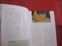 カラー百科シリーズ   ⑥   　  沖縄の自然  　   〔 サンゴ礁の科学 〕    　      【琉球・自然・動物・海洋生物・環境】
